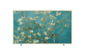 55" The Frame Art Mode 4K Smart TV LS03B