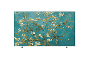 55" The Frame Art Mode 4K Smart TV LS03B