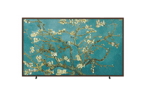 65" The Frame Art Mode 4K Smart TV LS03B